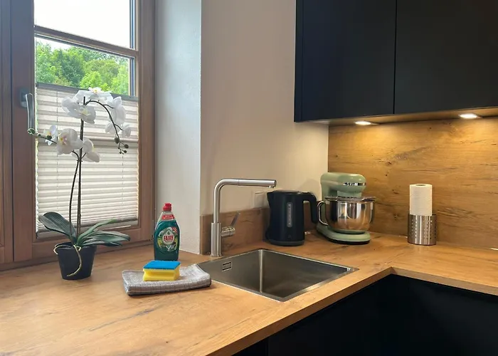 Aparthotel Naehe Muenchen Jacuzzi Grillkota 75 Zoll Tv